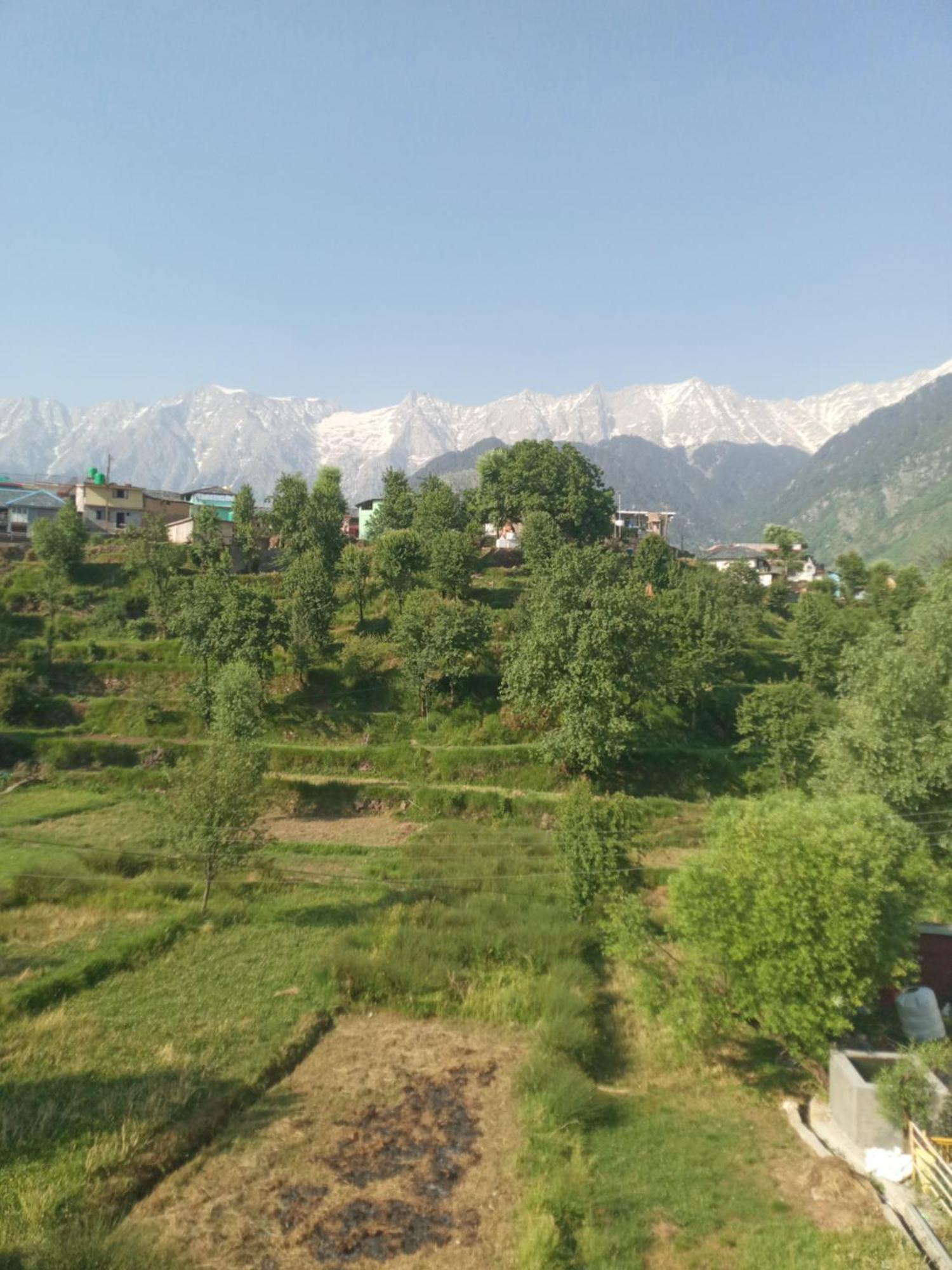 Nirmal Homestay Dharamshala Kamer foto
