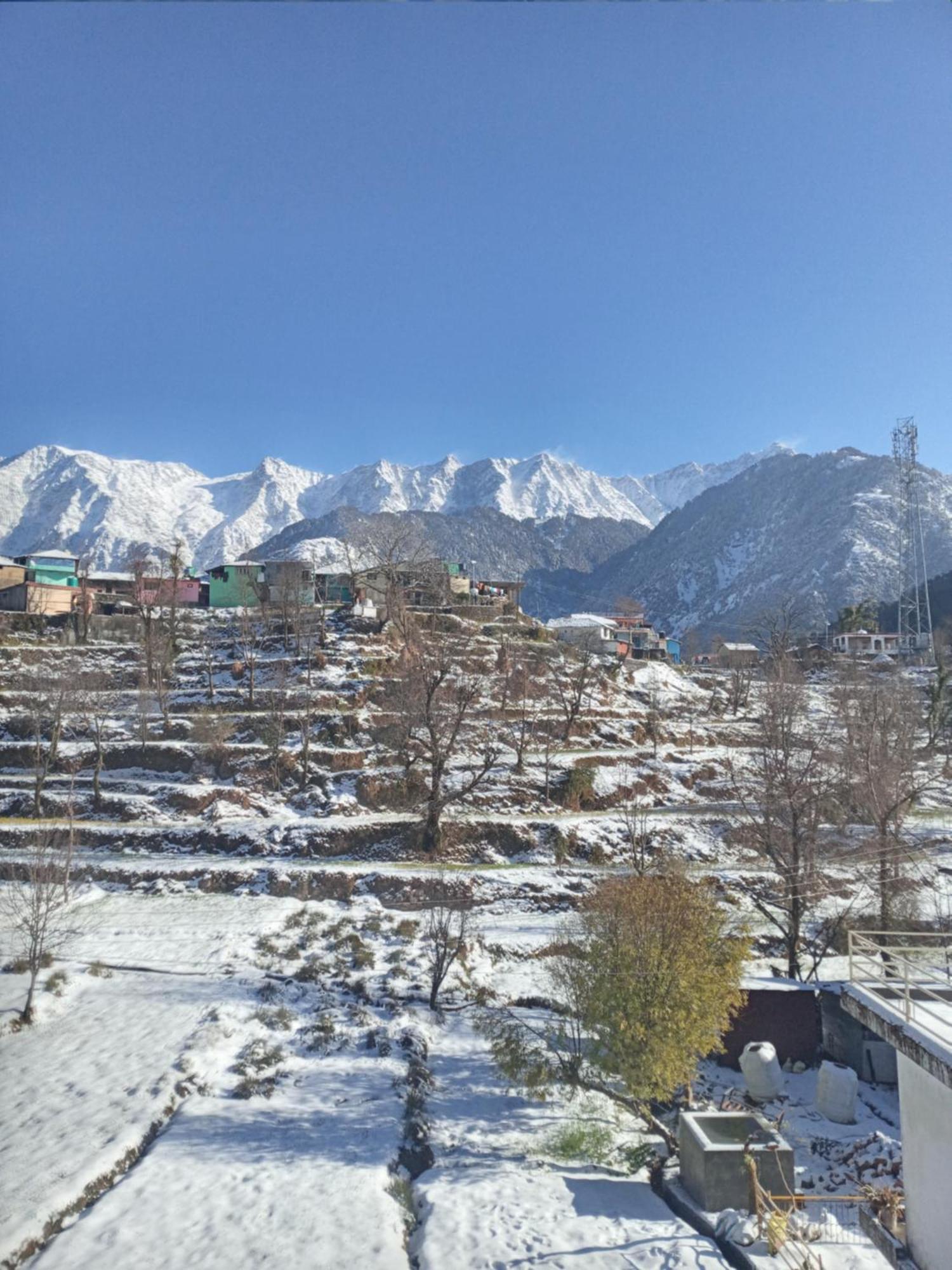 Nirmal Homestay Dharamshala Buitenkant foto