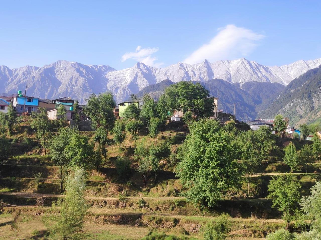 Nirmal Homestay Dharamshala Buitenkant foto