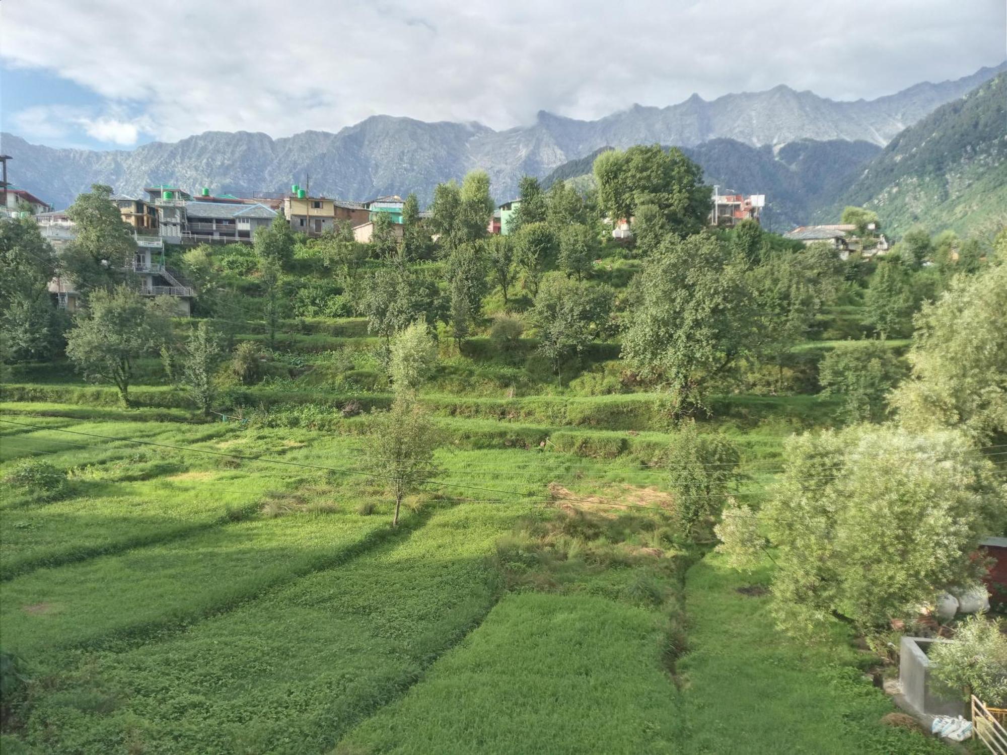Nirmal Homestay Dharamshala Buitenkant foto